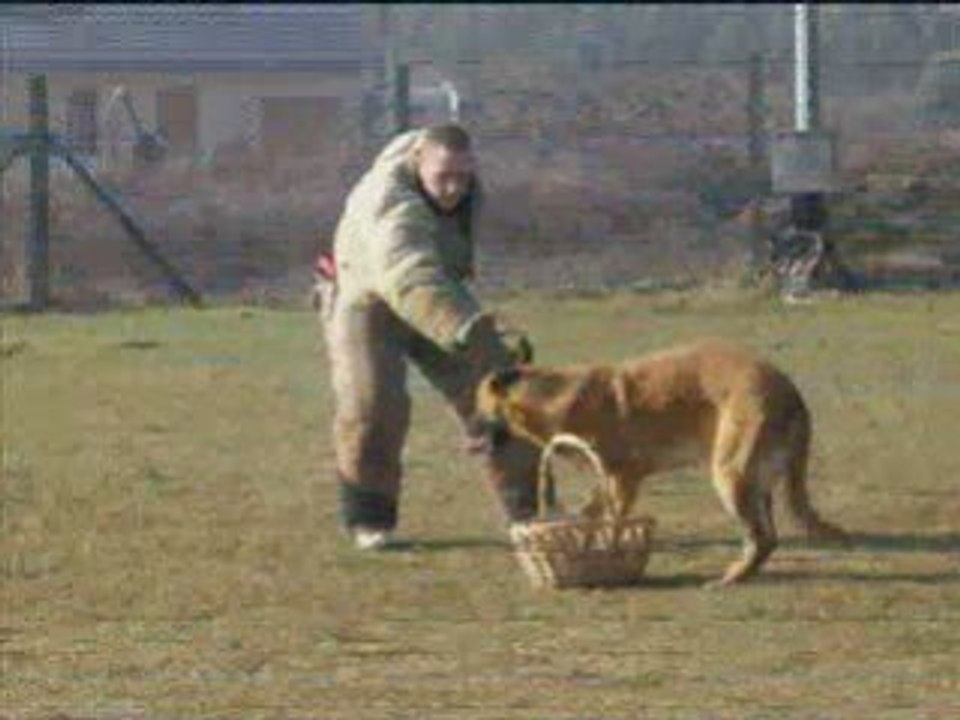 Entrainement mordant chemaudin