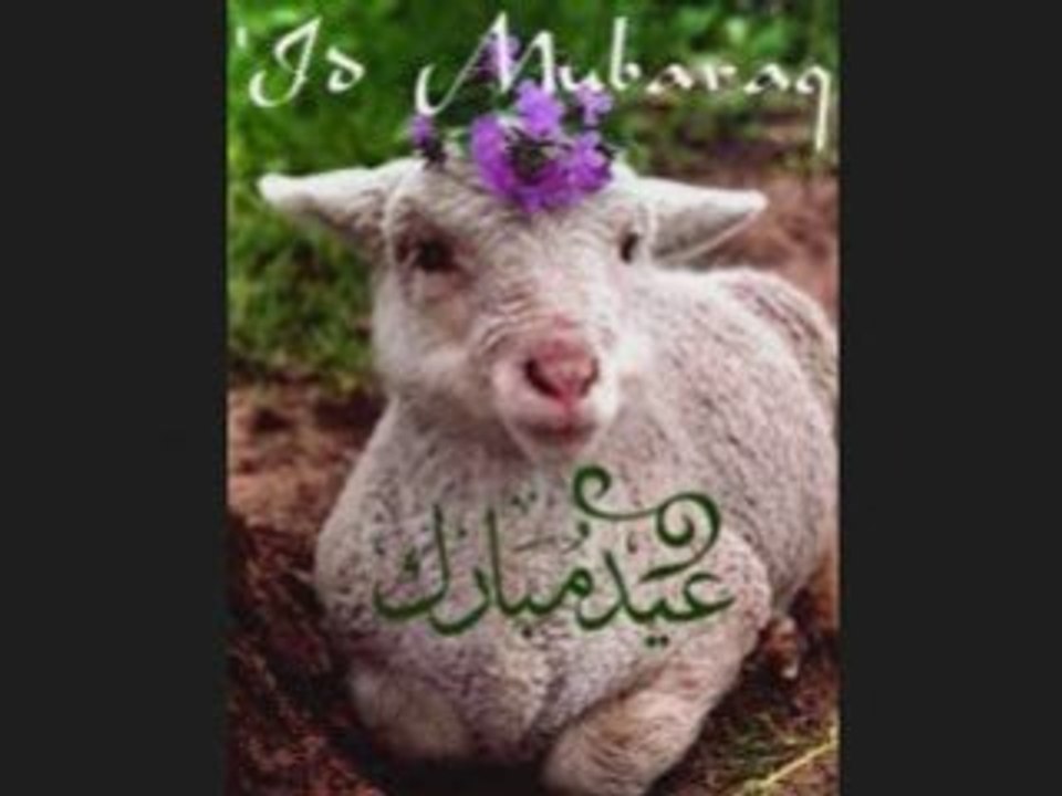 A7ori n ar3id