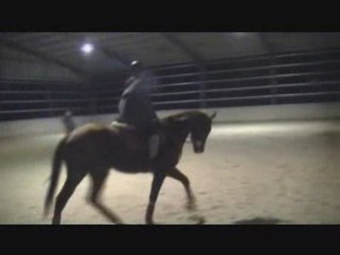 Concours dressage Ou pas ?