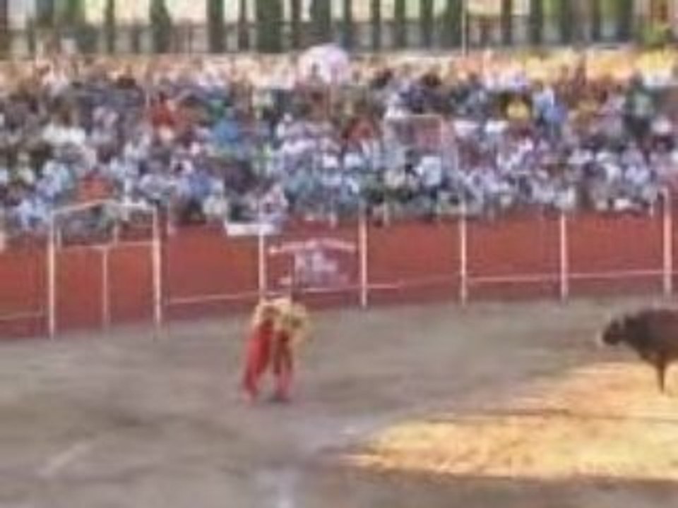 Raul Velasco toreando en Cabanillas del Campo (Faena 1)