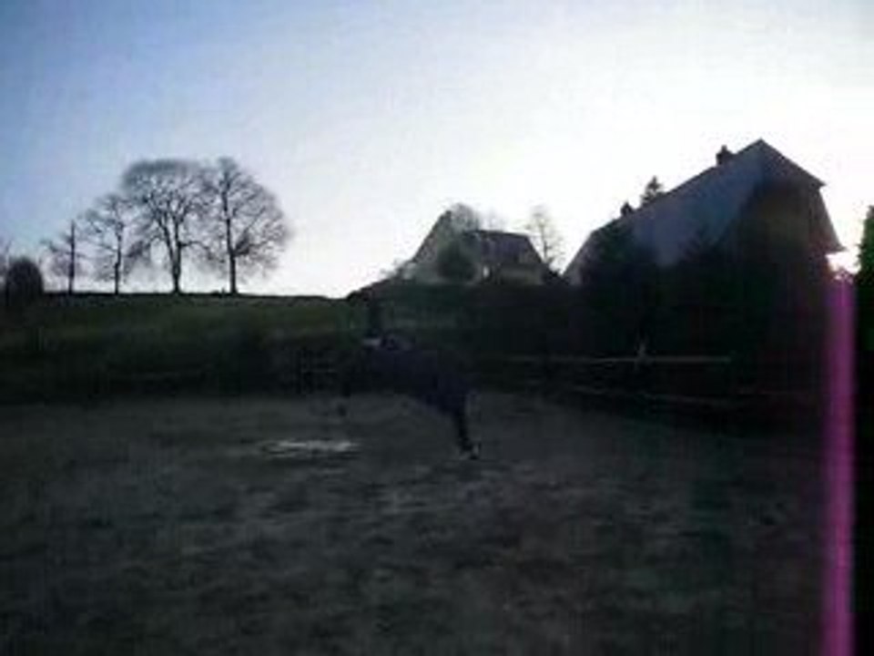 Mermès se défoule!!! (2) - 21/01/2009- Autigny