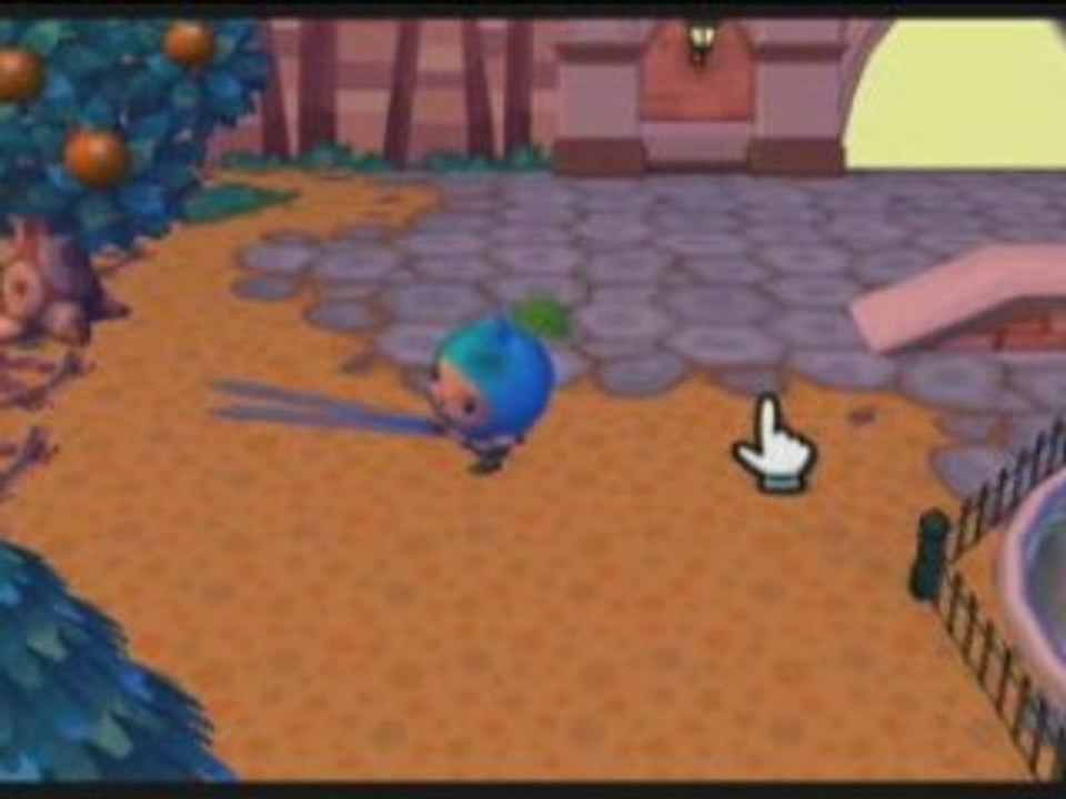 Animal Crossing City Folk - Hacked Items
