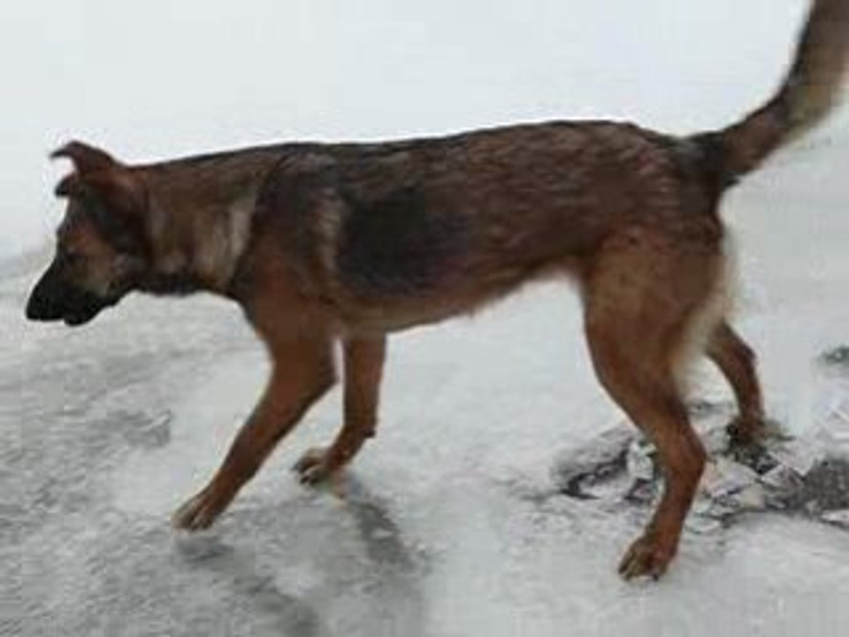 Kapy qui mange de la glace avec Cacahuète sa mère