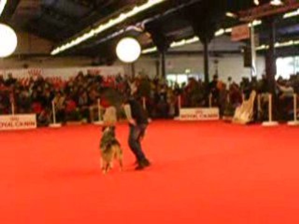 Clara et Vixie Démo au Paris Dog Show 2009