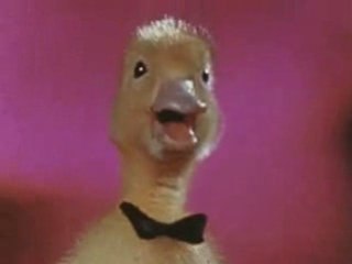 GENERIQUE SATURNIN ORTF RICET BARRIER ANIMAUX CLIP TV FR HQ