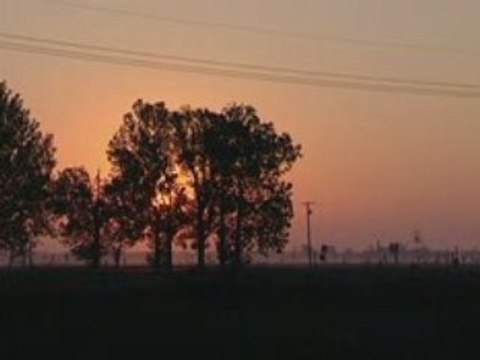 Blues guitar (Robert Johnson Crossroads)