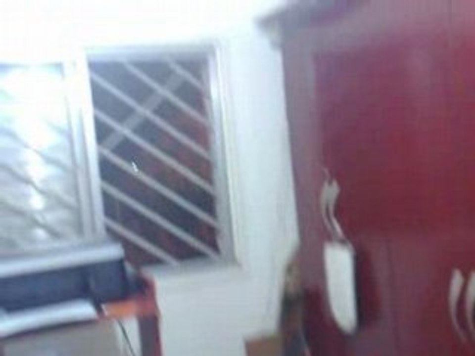 La pulgui y el ventilador