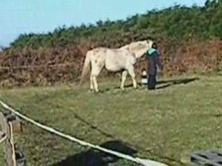 (03-01-09) T.A.P avec Hondo (probleme)