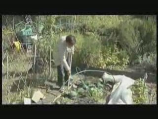 Les jardins familiaux de Cergy