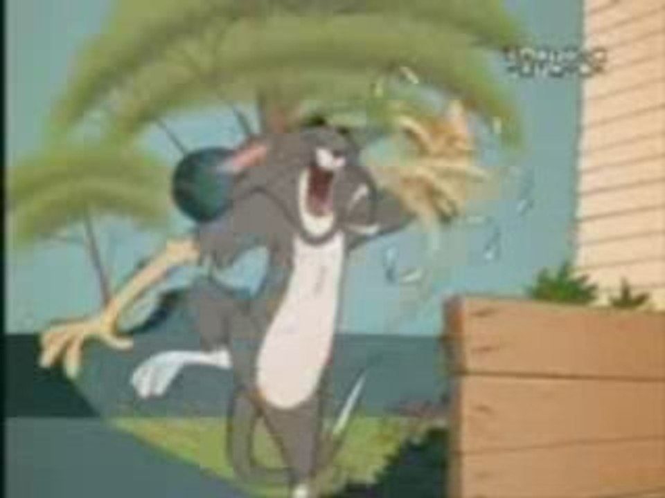 Том И Джери - Пародия Да Преебем Котката.3gp   Vbox7