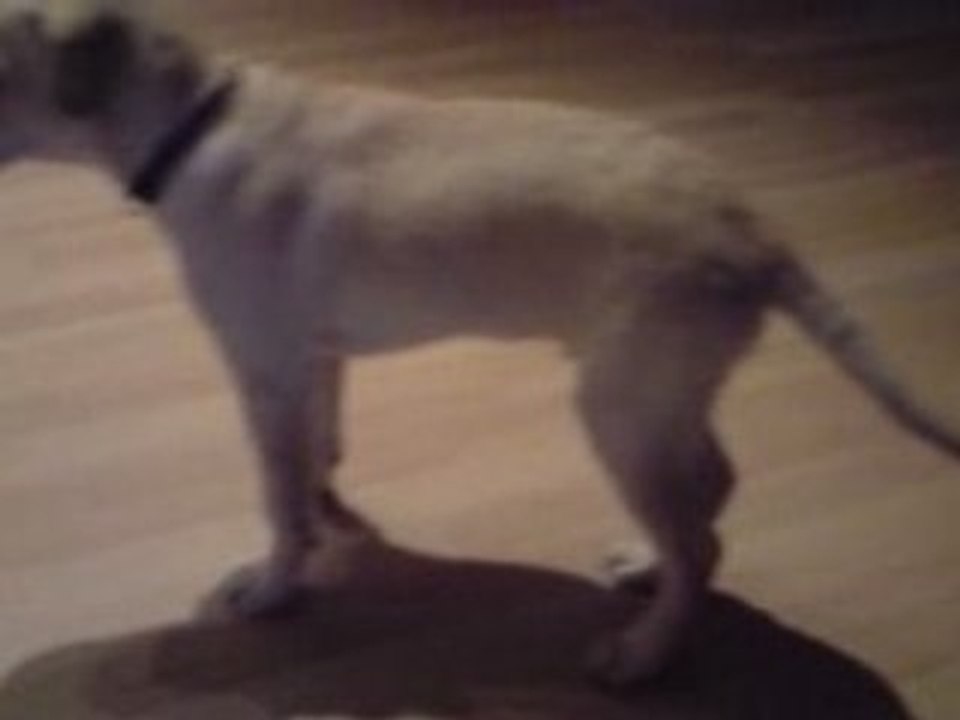 Prince de bon matin le 5 février 2009