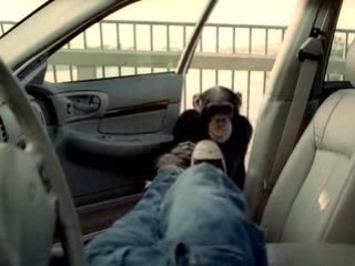 Alarme auto extérieur indispensable