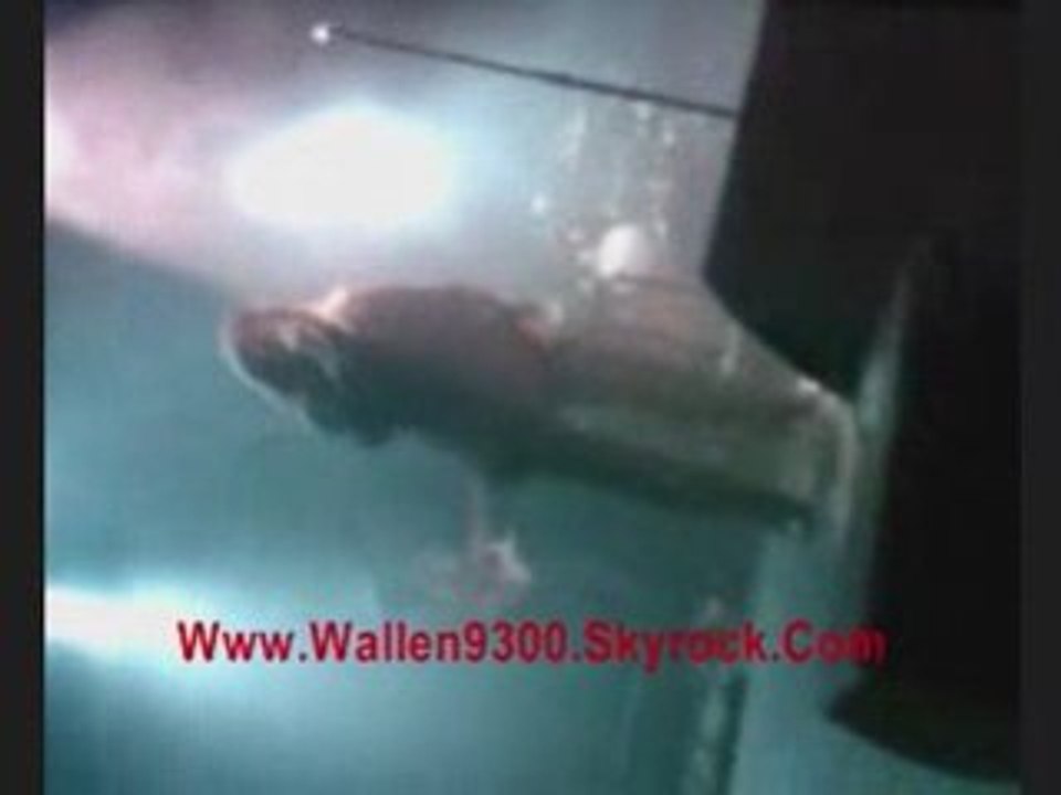 Wallen Celle qui a dit non et  A force de Vivre LIVE CONCERT