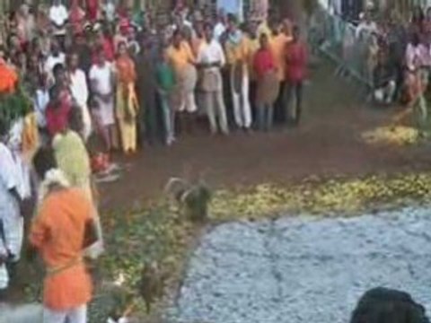 Marche sur le feu le 11/01/09 Terre-Sainte St Pierre.