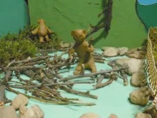 Le zoo de Burdeauville blog