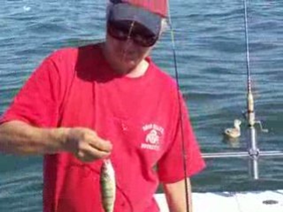 Lake Erie perch fishing  Monroe, MI aboard the Stray Cat