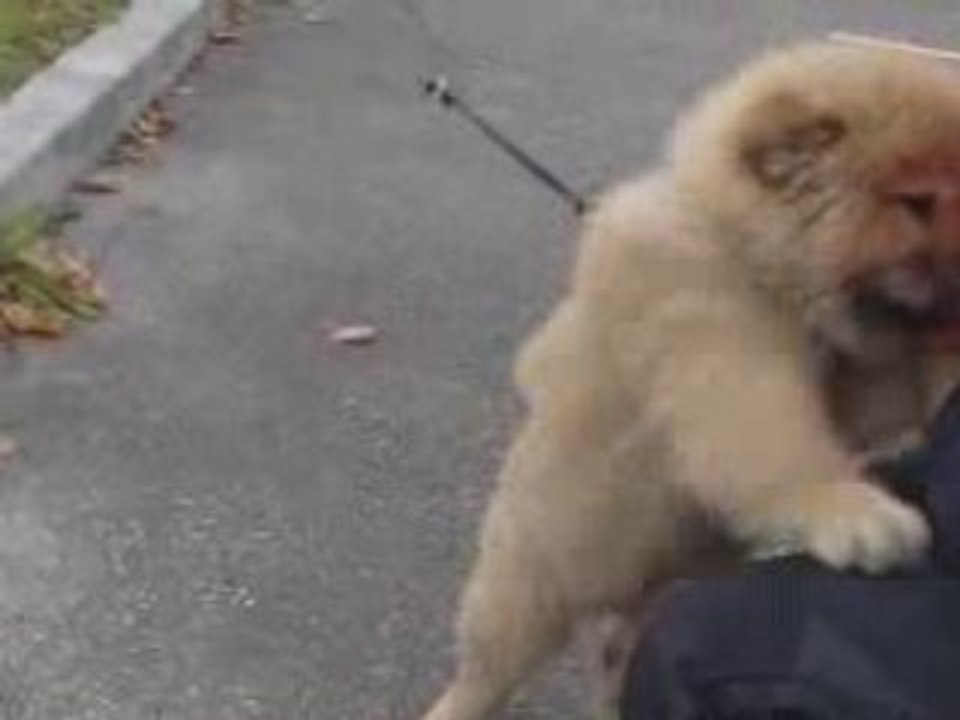 SSTC meeting tuning 2008 part5