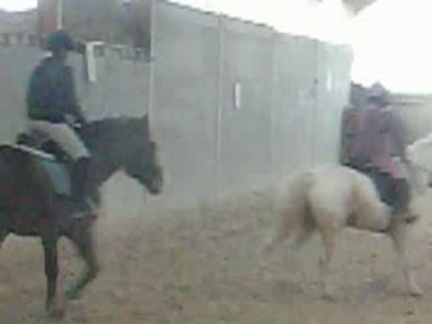 Photos louison 3 358