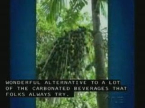 Acai-aSlim Acai Berry Weight-Loss