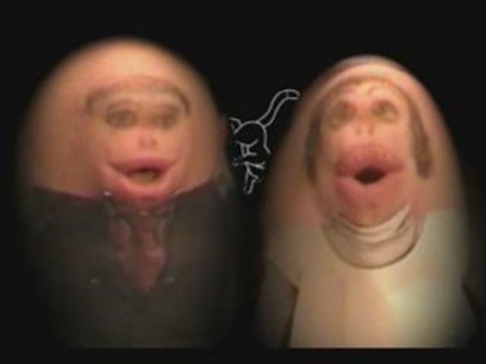 Mister cat - bonne annee