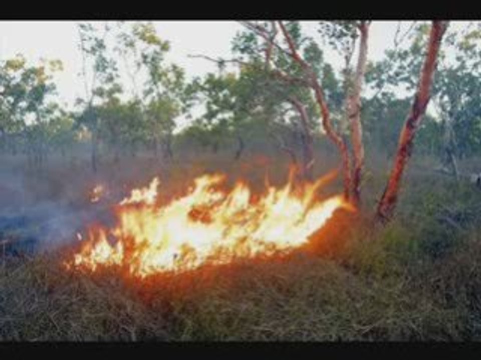 pachamama terre mere