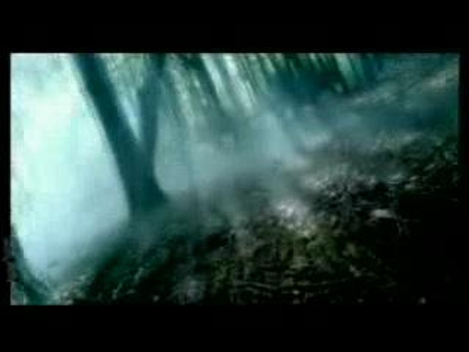 Najoua Belyzel - Gabriel