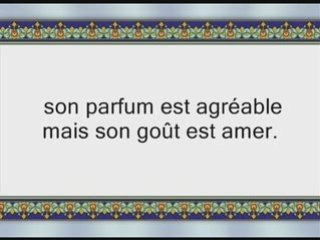 Le mérite de la lecture du Coran par Cheikh al Otheimine