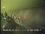 Rare requin des profondeurs
