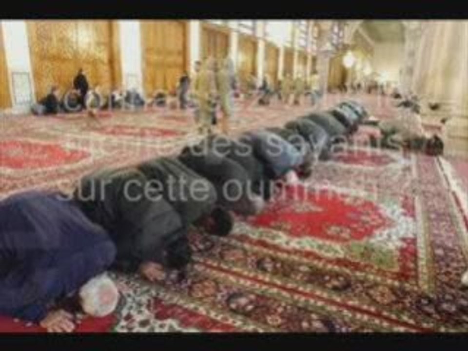 Le mérite des savants par les cheikh Fawzan et Al-Abbad RA