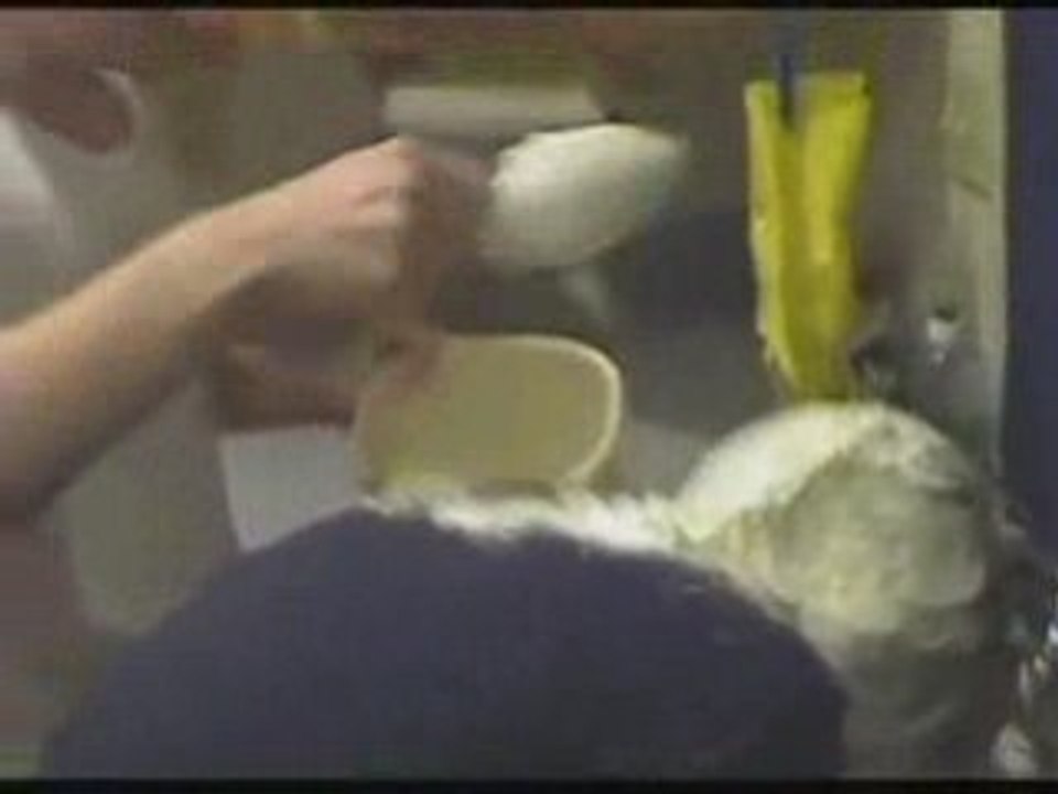 cinnamon challenge for his girlfiend