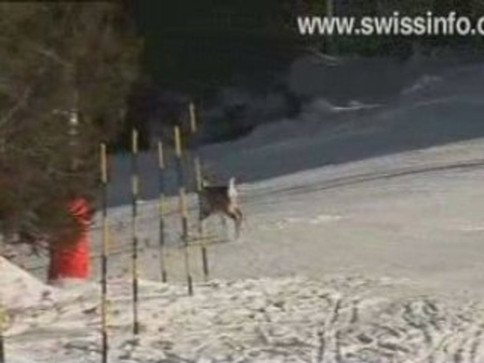 Oh deer!