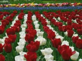 idris ÇAĞLAR Ben Neler Gördüm