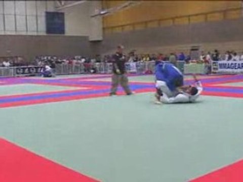 Braulio Estima super helicoptère armbar