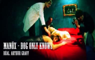 Manöx "Dog only knows" réalisation Arthur Graff
