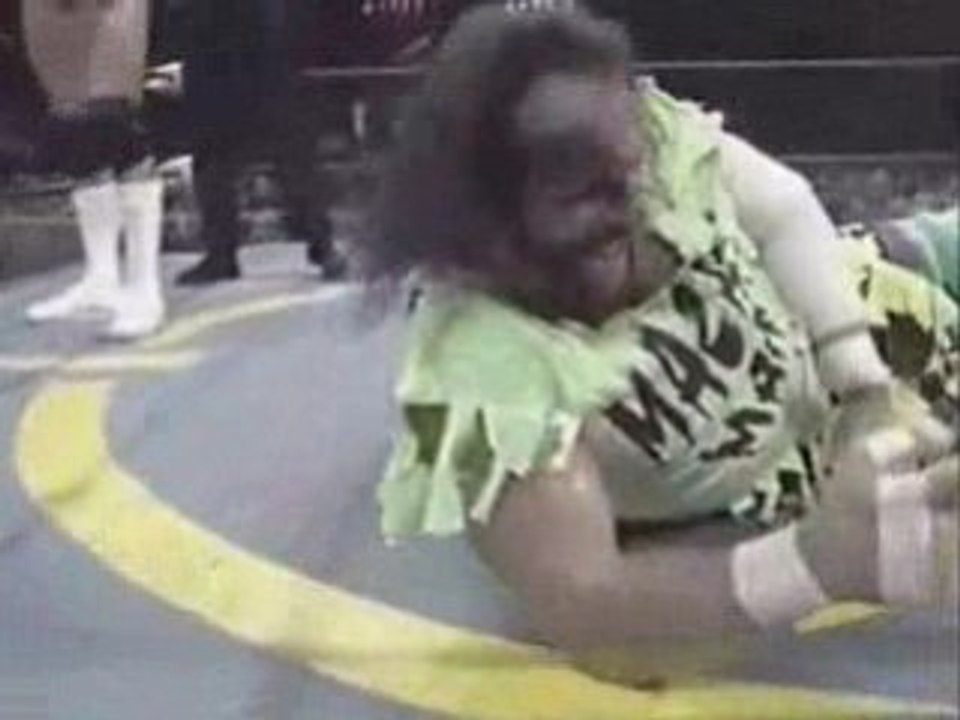 Halloween Havoc14