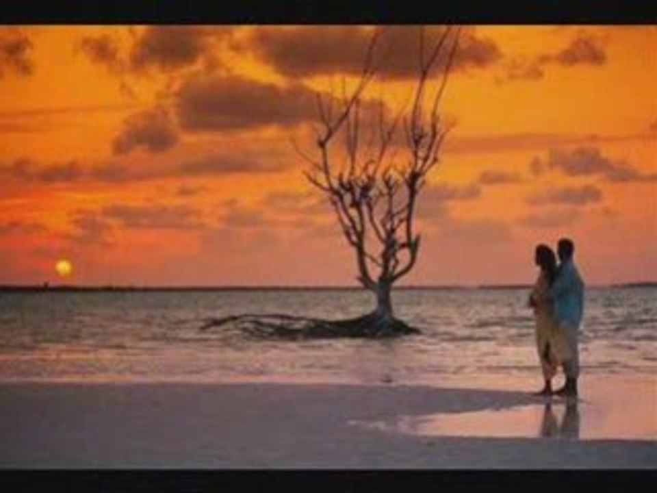 ΜΕΛΑΣ ΖΑΦΕΙΡΗΣS ΑΦΙΣΣΑ