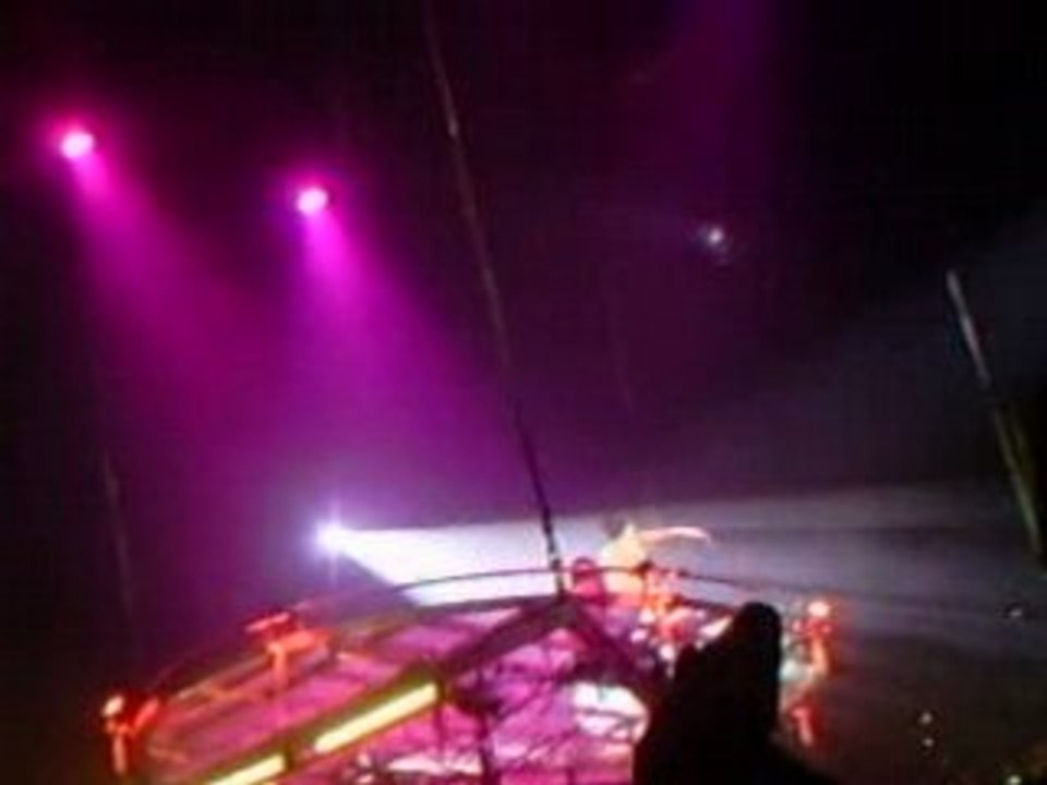 Chris Brown En concert au Dôme de Marseille 20/01/2009