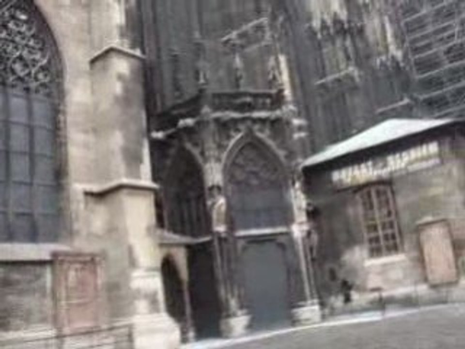 Dom de Viena