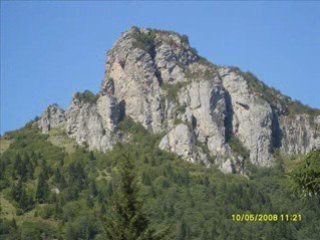 arsin  BAŞDURAK fatih kurutçu