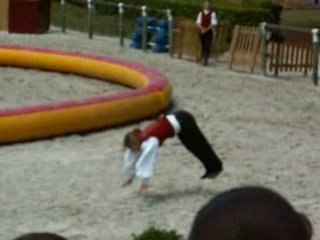 Petite séquence d'acrobatie, août 2008