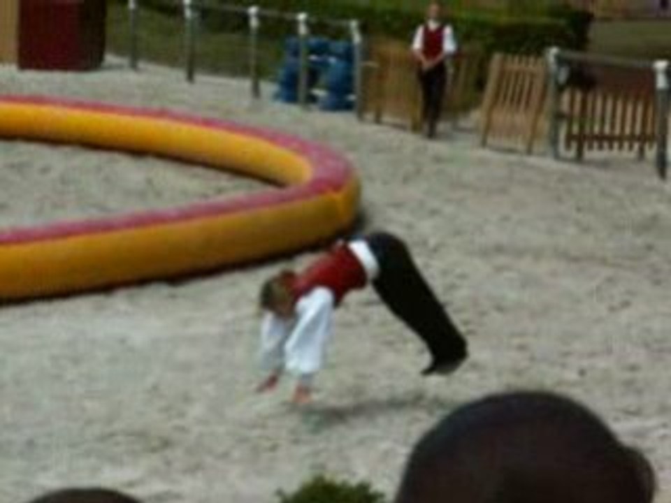 Petite séquence d'acrobatie, août 2008