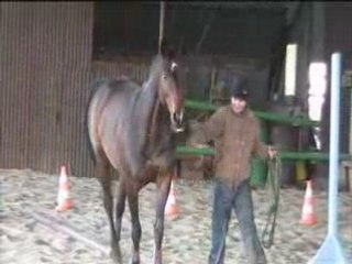 Galilée manege