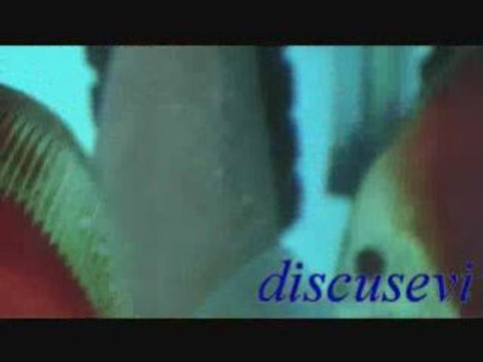 Red Melon Discus Yumurtaları ( discusevi )