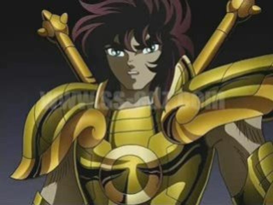 Les 12 Chevaliers D'Or