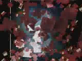 Cesaria Evora - Besame Mucho