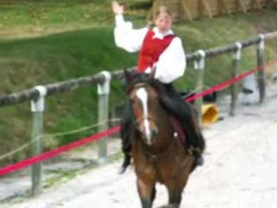 Voltige cosaque en ligne droite, été 2008