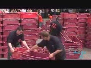 Stylish Sustainable Living