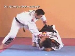 techniques bjj