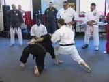 Warrior Pages, Interpretation of Traditional Karate Moves