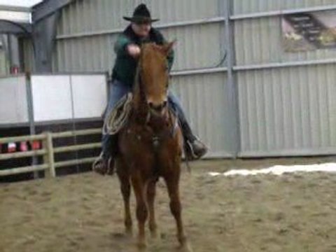 Démonstration d'équitation Western